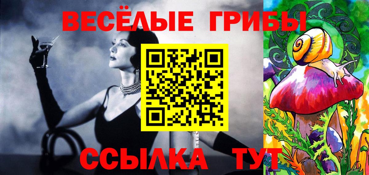 Екатеринбург  Псилоцибиновые грибы прущие грибы  Вход с VPN  Галлюциногенные грибы Psilocybe 